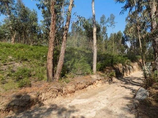Terreno à venda em Amarante