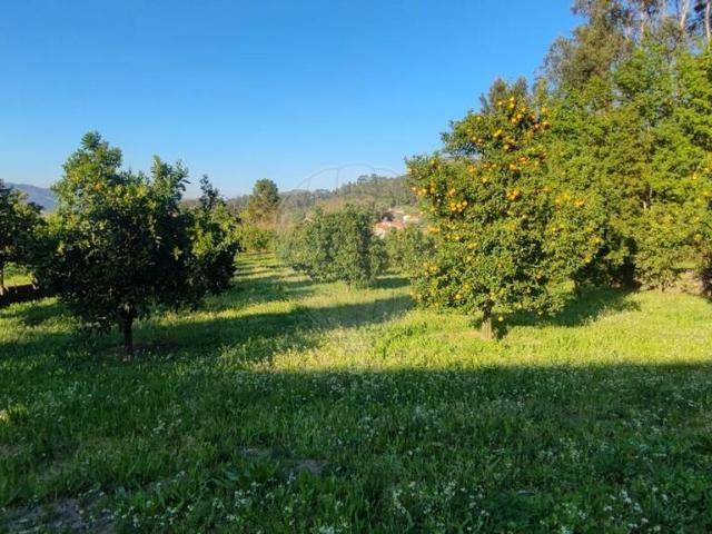 Terreno à venda em Amares