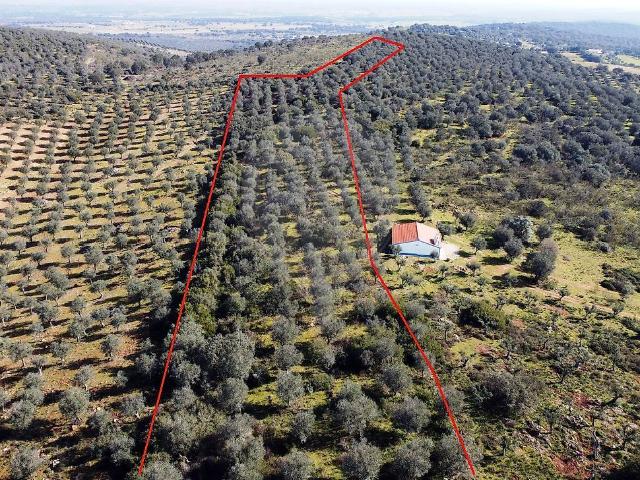 Terreno à venda em Ameixial Santa Vitória e São Bento, Estremoz RE/MAX Portugal