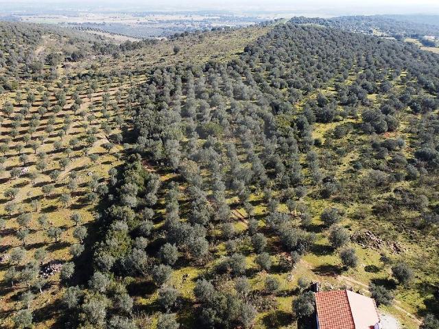 Terreno à venda em Ameixial Santa Vitória e São Bento, Estremoz RE/MAX Portugal