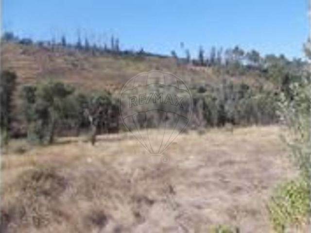 Terreno à venda em Amêndoa, Mação RE/MAX Portugal