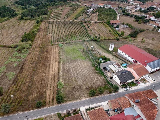 Terreno à venda em Amoreira da Gândara, Paredes do Bairro e Ancas, Anadia RE/MAX Portugal