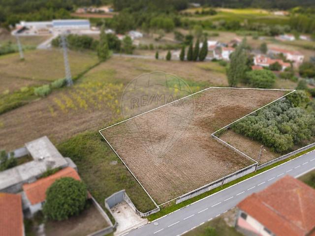 Terreno à venda em Amoreira da Gândara, Paredes do Bairro e Ancas, Anadia RE/MAX Portugal