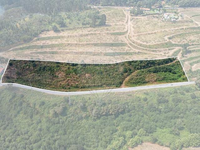 Terreno à venda em Antime e Silvares São Clemente, Fafe RE/MAX Portugal
