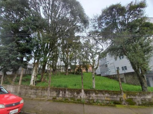 Terreno à venda em Ana Rech