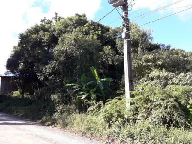 Terreno à venda em Ana Rech