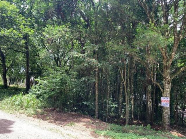 Terreno à venda em Ana Rech, Caxias do Sul