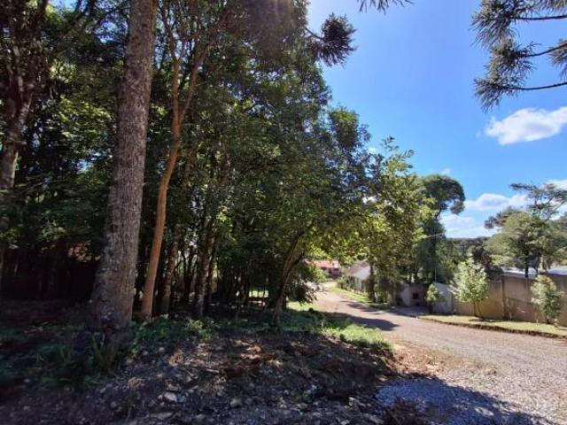 Terreno à venda em Ana Rech, Caxias do Sul