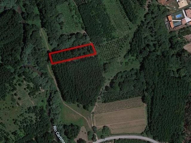 Terreno à venda em Anadia