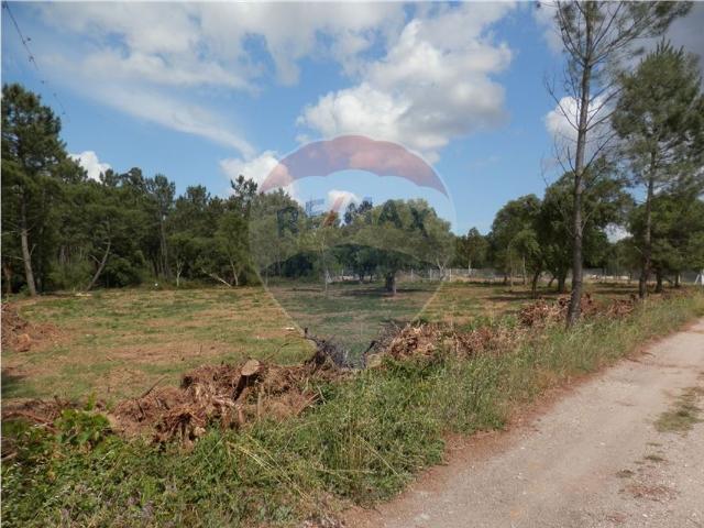 Terreno à venda em Anadia