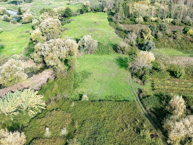 Terreno à venda em Anadia