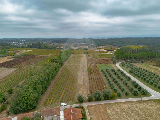 Terreno à venda em Anadia