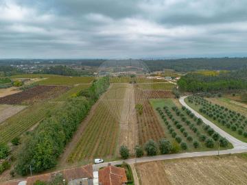 Terreno à venda em Anadia