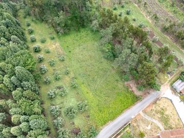 Terreno à venda em Anadia