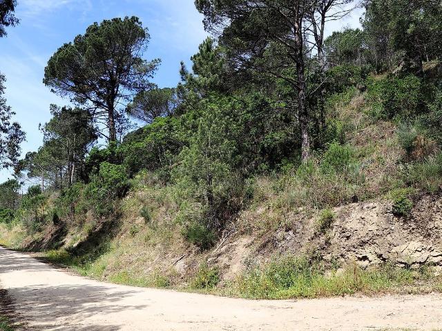 Terreno à venda em Ancede e Ribadouro, Baião RE/MAX Portugal