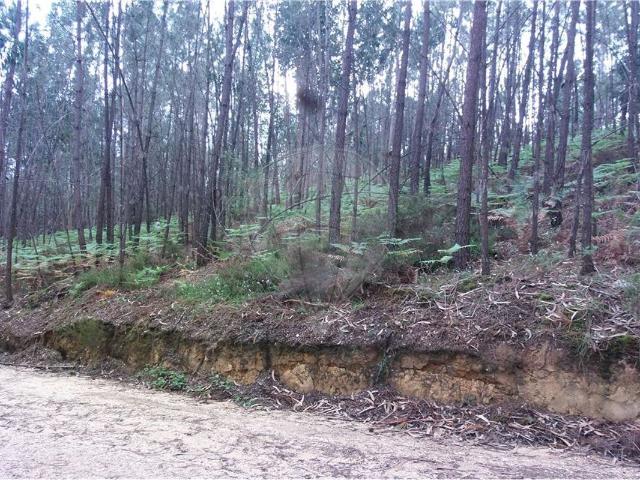 Terreno à venda em Ansião