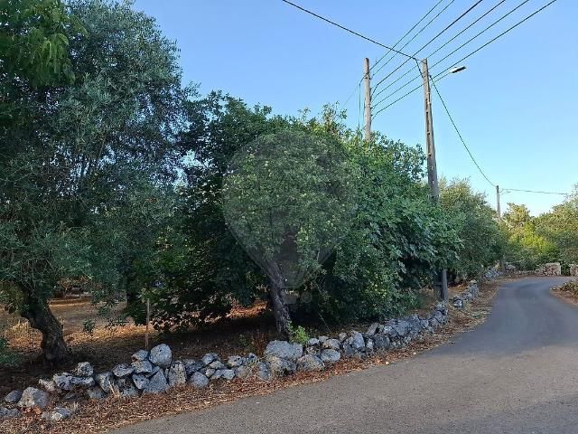 Terreno à venda em Ansião