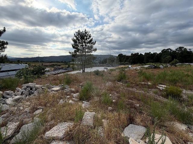 Terreno à venda em Aboadela, Sanche e Várzea, Amarante RE/MAX Portugal