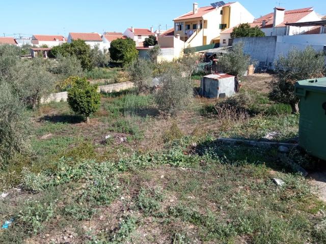 Terreno à venda em Abrantes