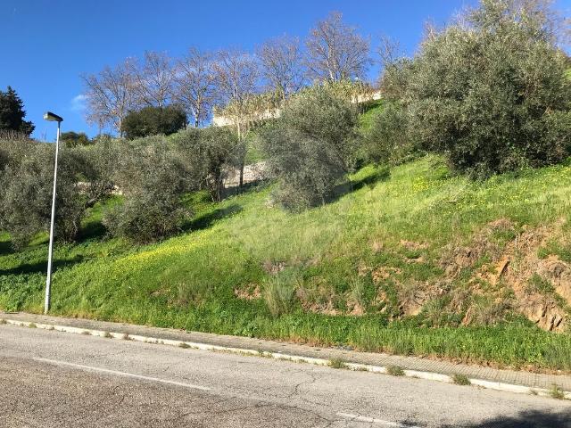 Terreno à venda em Abrantes