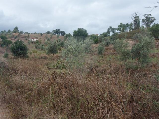 Terreno à venda em Abrantes