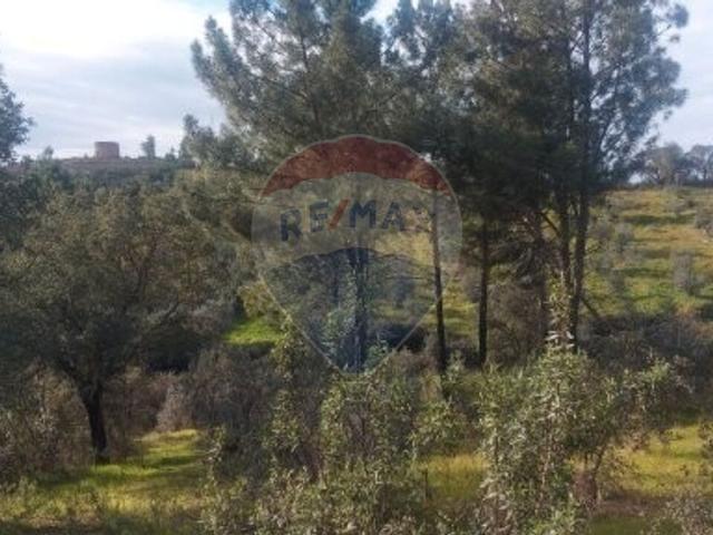 Terreno à venda em Abrantes
