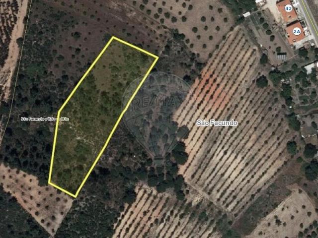 Terreno à venda em Abrantes