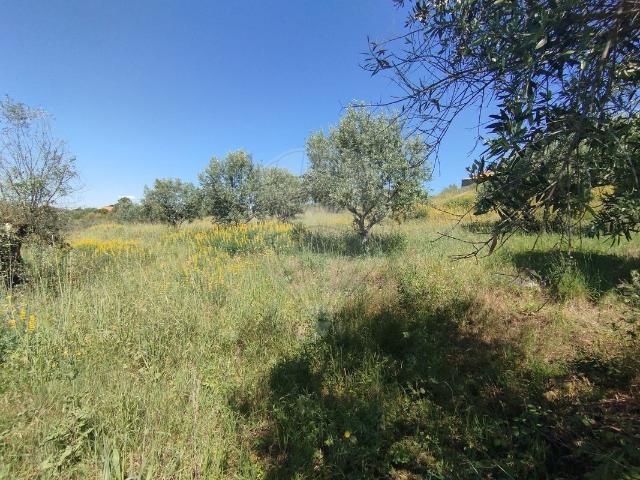 Terreno à venda em Abrantes