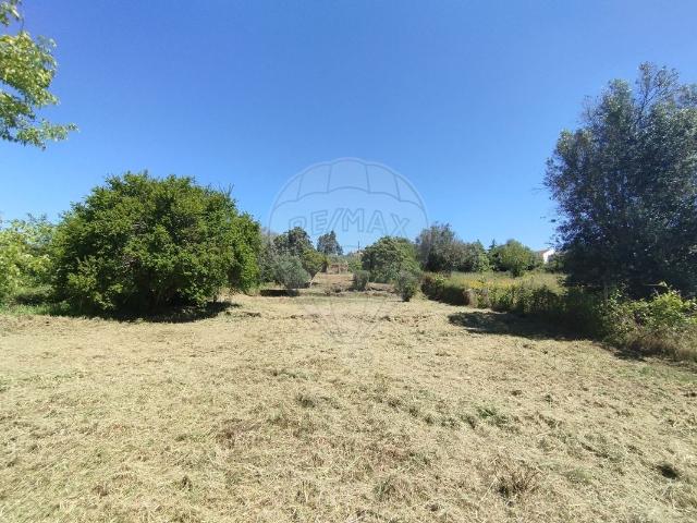 Terreno à venda em Abrantes