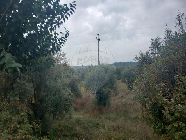 Terreno à venda em Abrantes