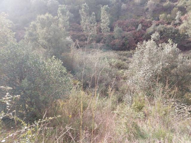 Terreno à venda em Abrantes