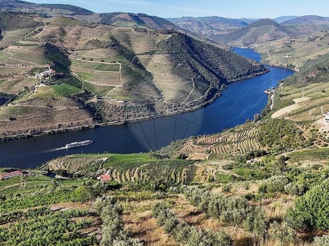 Terreno à venda em Adorigo, Tabuaço RE/MAX Portugal