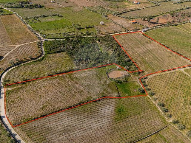 Terreno à venda em Adorigo, Tabuaço RE/MAX Portugal
