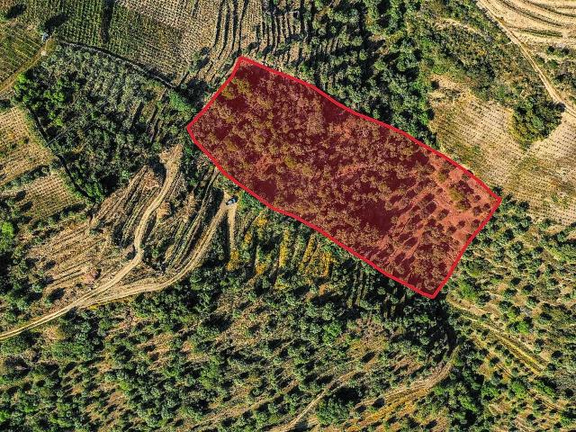 Terreno à venda em Adorigo, Tabuaço RE/MAX Portugal