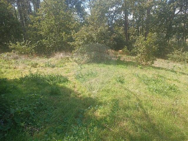 Terreno à venda em Adoufe e Vilarinho de Samardã, Vila Real RE/MAX Portugal