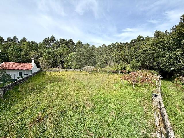 Terreno à venda em Afife, Viana do Castelo RE/MAX Portugal