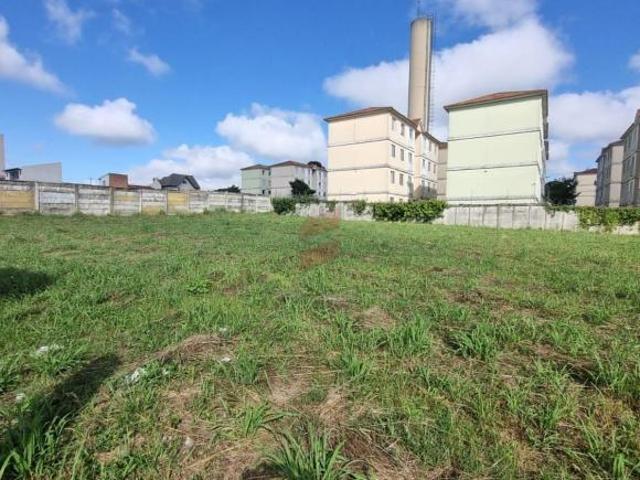 Terreno à venda em Afonso Pena