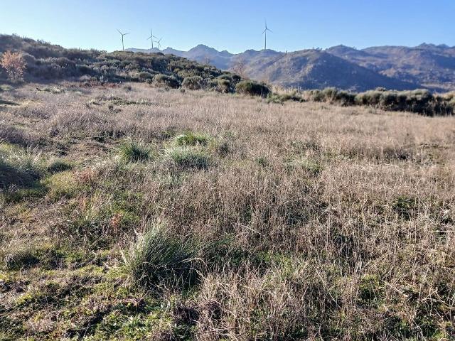 Terreno à venda em Águas Belas, Sabugal RE/MAX Portugal