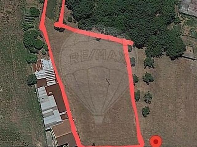 Terreno à venda em Águeda e Borralha, Águeda RE/MAX Portugal