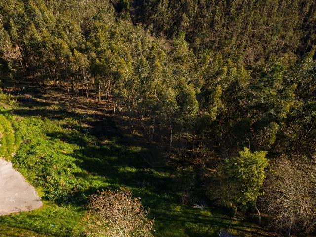 Terreno à venda em Águeda