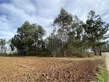 Terreno à venda em Águeda