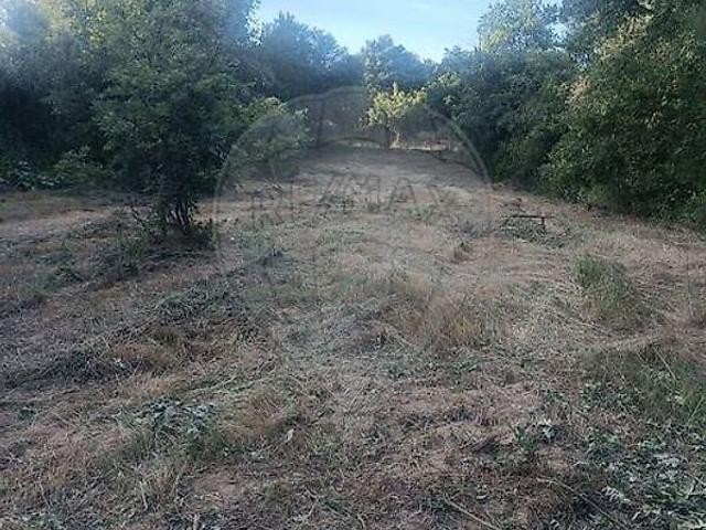 Terreno à venda em Aguiar da Beira e Coruche, Aguiar da Beira RE/MAX Portugal