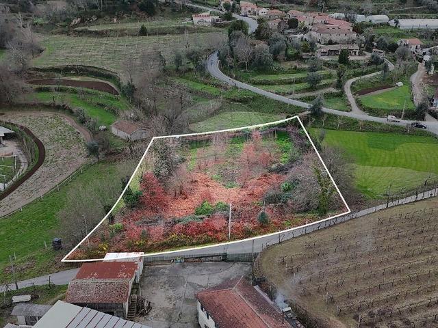 Terreno à venda em Agilde, Celorico de Basto RE/MAX Portugal