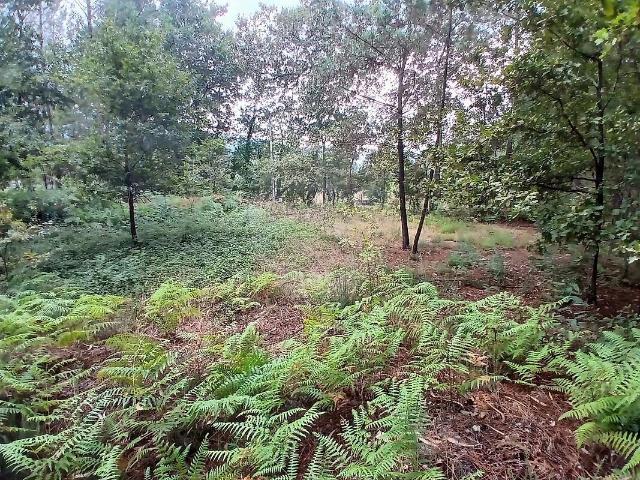 Terreno à venda em Agrela e Serafão, Fafe RE/MAX Portugal