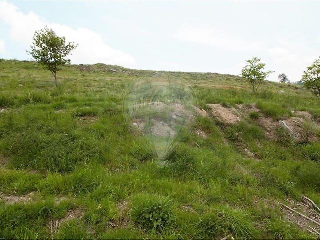 Terreno à venda em Airães, Felgueiras RE/MAX Portugal