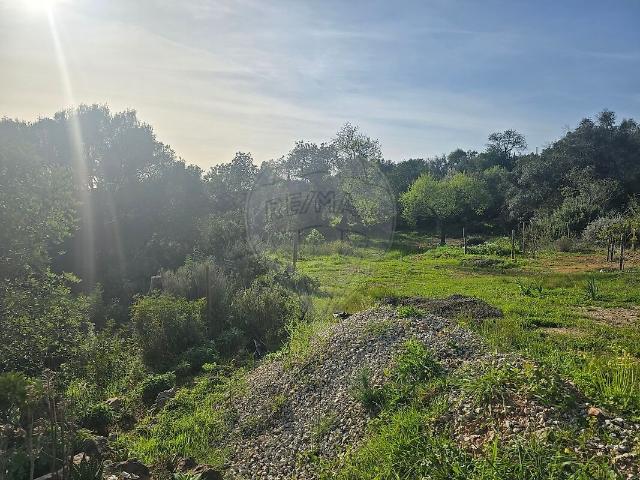 Terreno à venda em Alte, Loulé RE/MAX Portugal