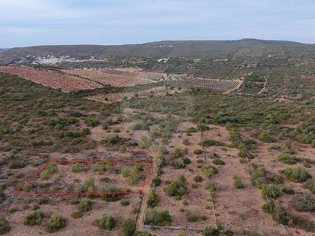 Terreno à venda em Alte, Loulé RE/MAX Portugal