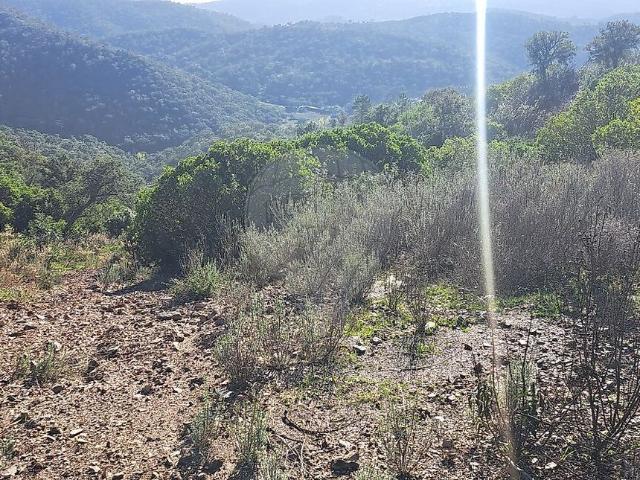 Terreno à venda em Alte, Loulé RE/MAX Portugal