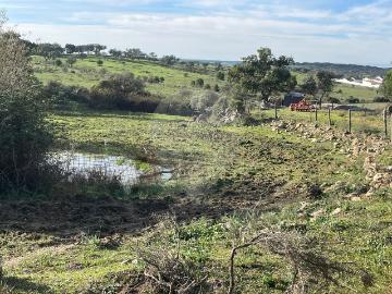 Terreno à venda em Alter do Chão