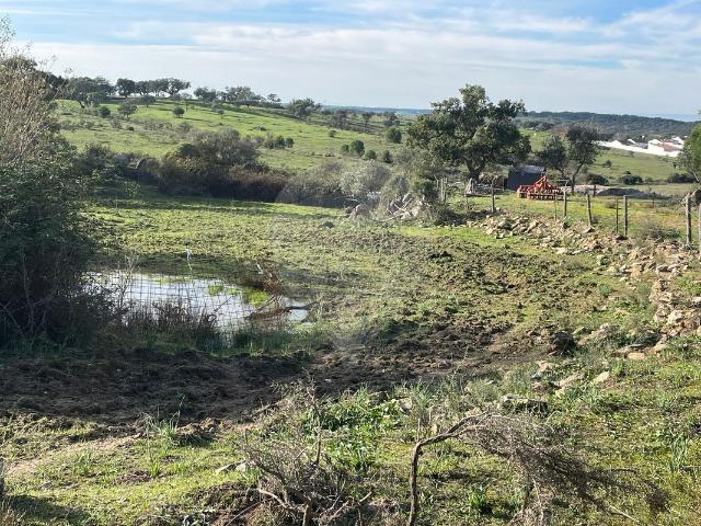 Terreno à venda em Alter do Chão